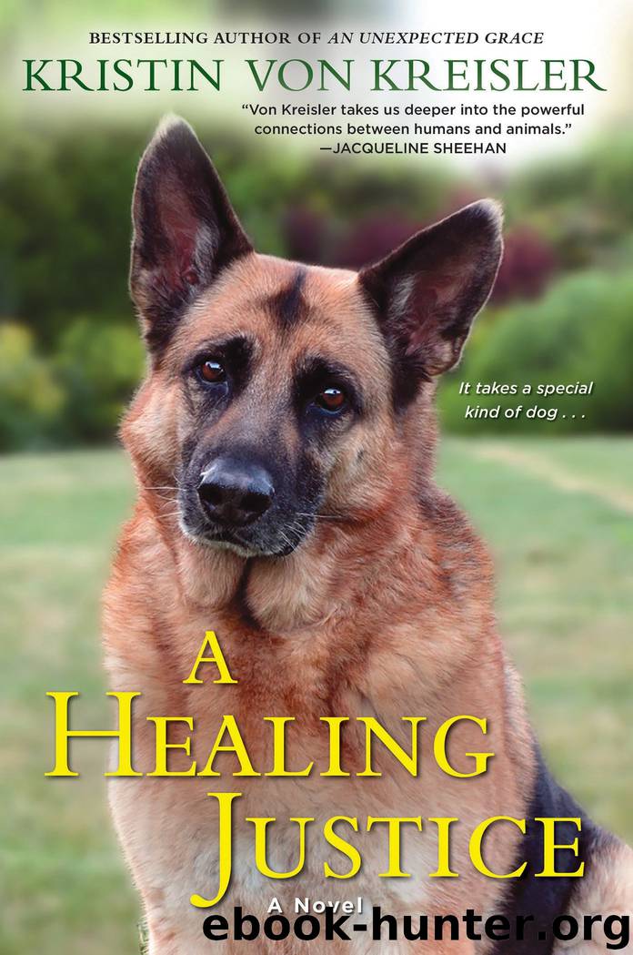 A Healing Justice by Kristin von Kreisler