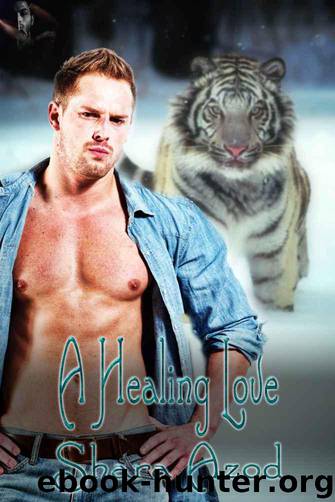 A Healing Love by Shara Azod