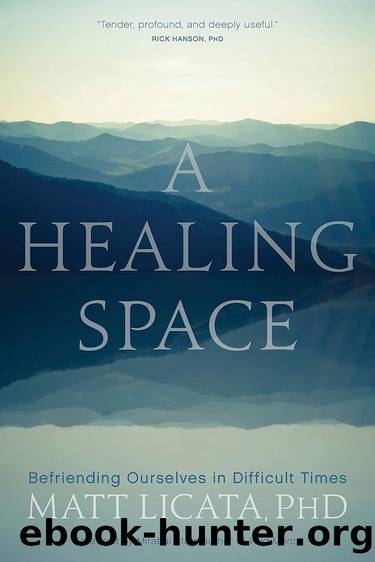 A Healing Space by Matt Licata