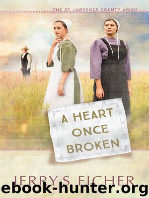 A Heart Once Broken by Jerry S. Eicher