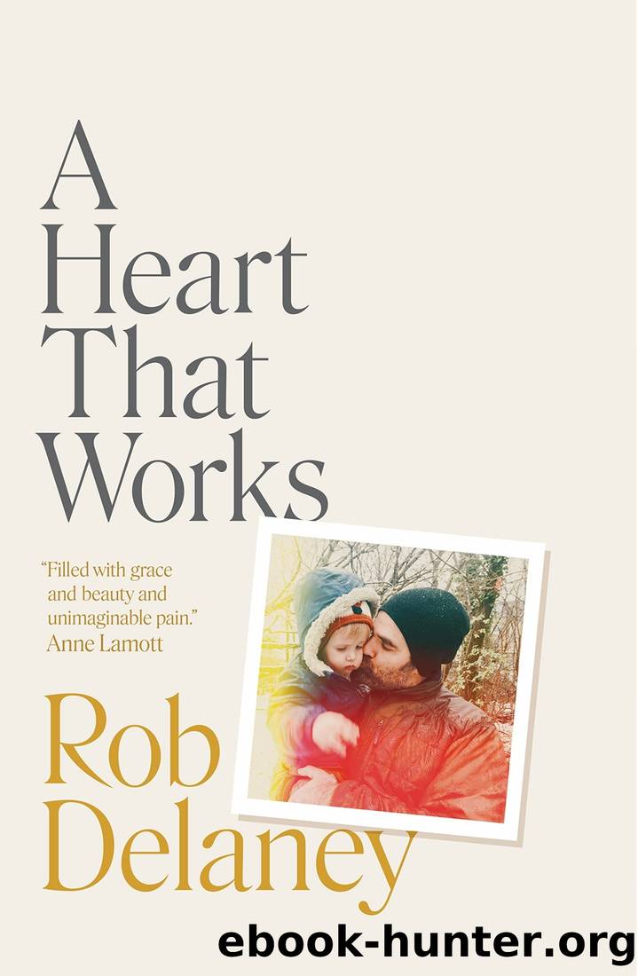 A Heart That Works by Rob Delaney
