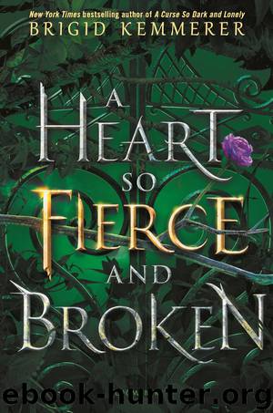 A Heart so Fierce and Broken by Brigid Kemmerer