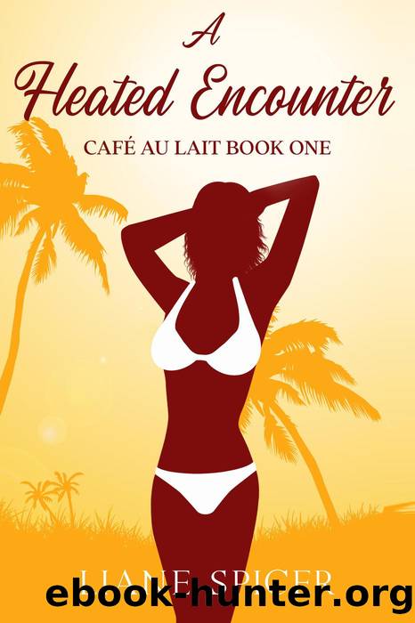 A Heated Encounter by Liane Spicer