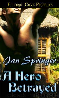 A Hero Betrayed by Jan Springer