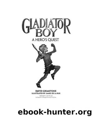 A Hero's Quest by David Grimstone