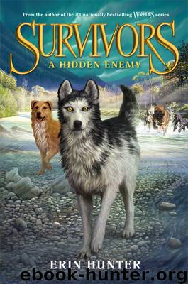 A Hidden Enemy by Erin Hunter