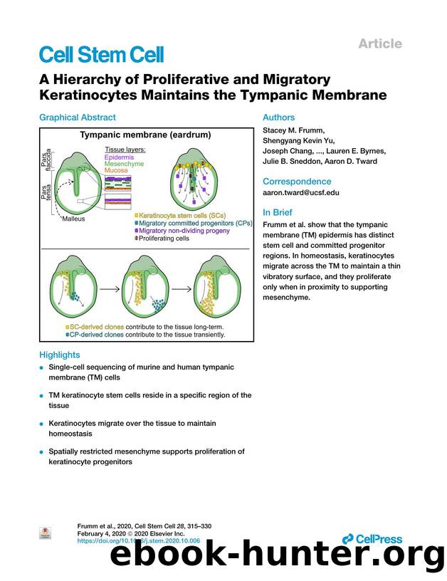 A Hierarchy of Proliferative and Migratory Keratinocytes Maintains the Tympanic Membrane by unknow