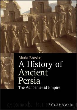 A History of Ancient Persia (Blackwell History of the Ancient World) by Maria Brosius