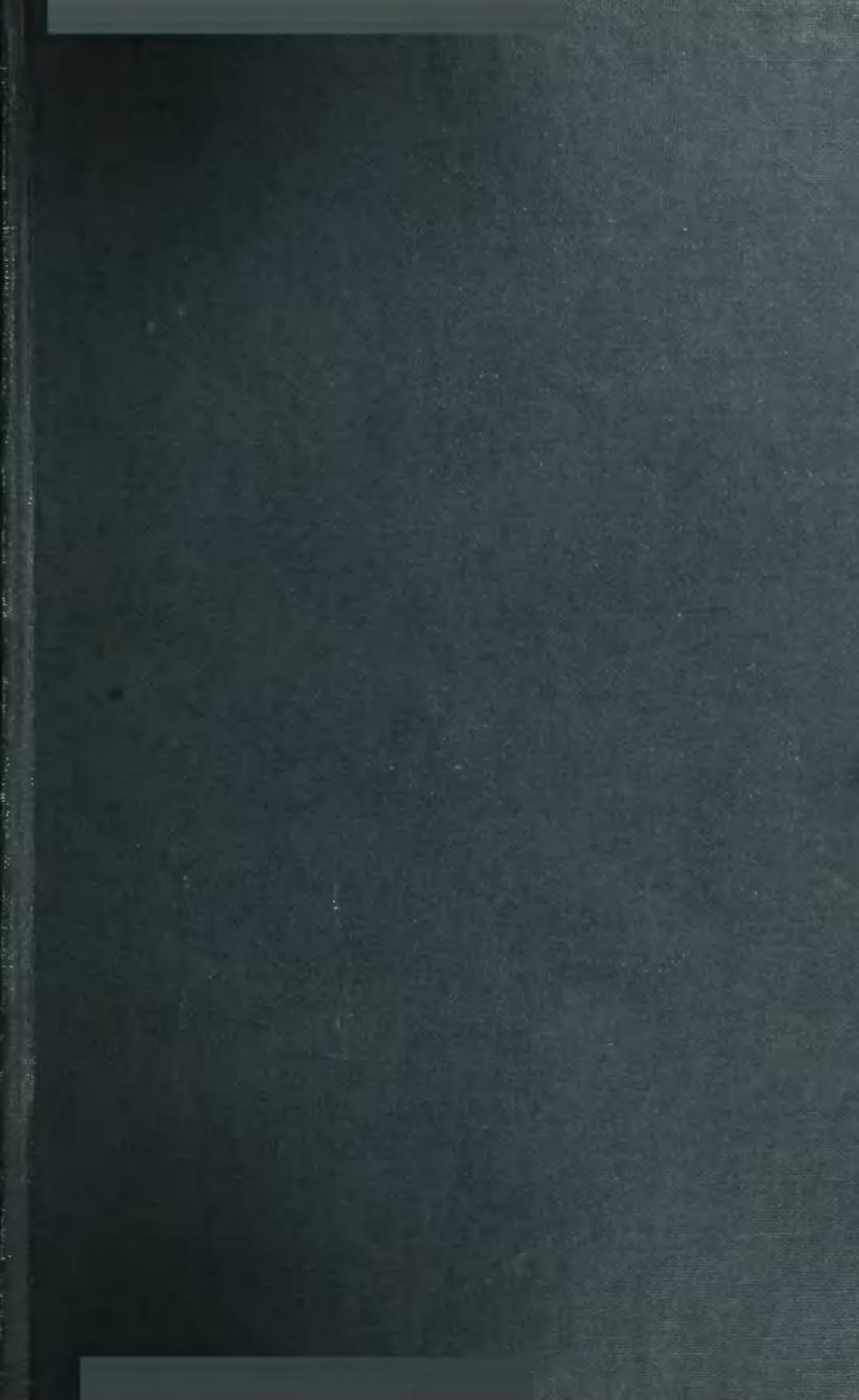 A History of Elizabethan Literature by George Saintsbury