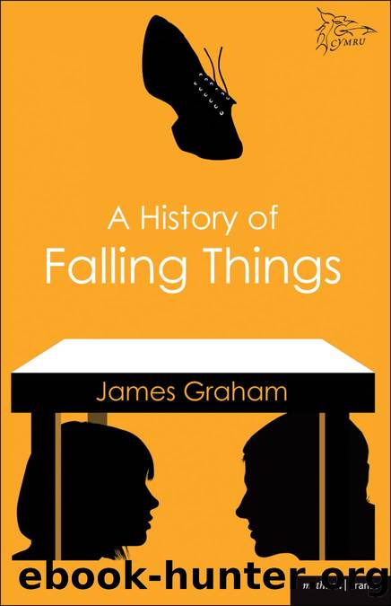A History of Falling Things by James Graham