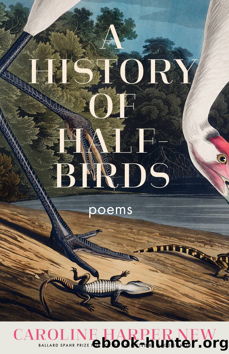 A History of Half-Birds by Caroline Harper New