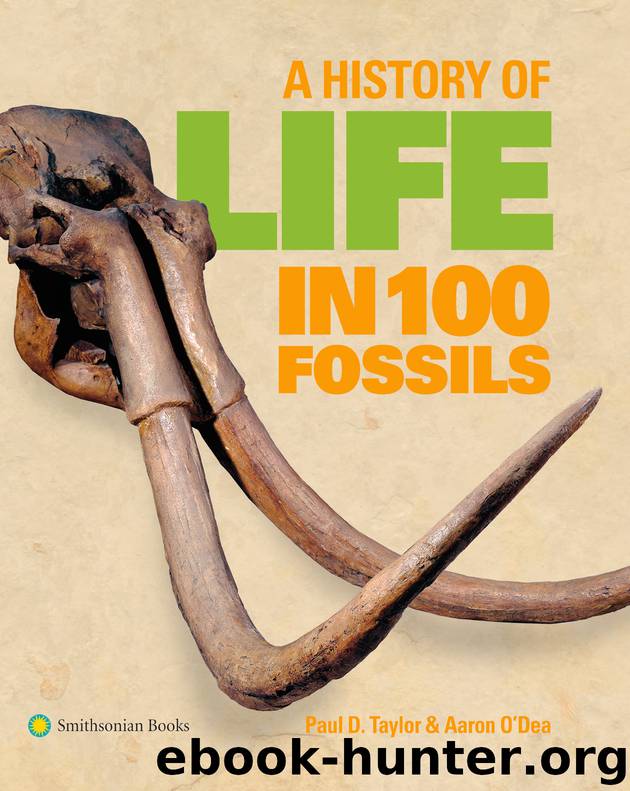 A History of Life in 100 Fossils by Paul D. Taylor Aaron O'Dea