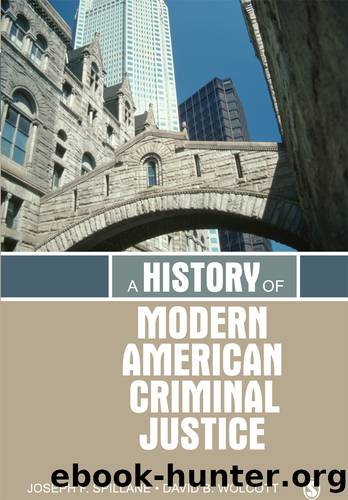 A History of Modern American Criminal Justice by Joseph F. Spillane David B. Wolcott