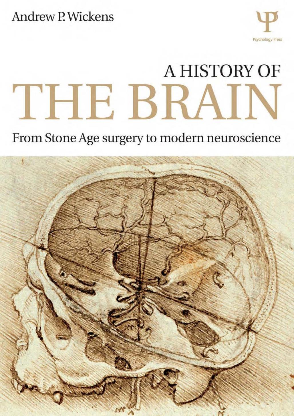 A History of the Brain: From Stone Age surgery to modern neuroscience by Unknow