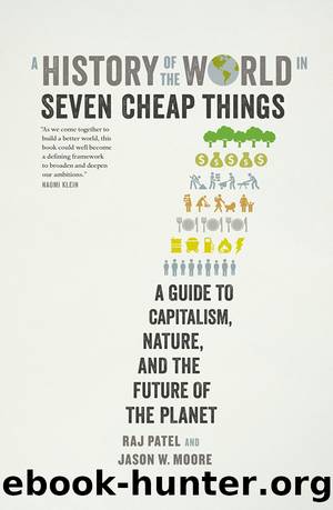 A History of the World in Seven Cheap Things: by Raj Patel Jason W. Moore