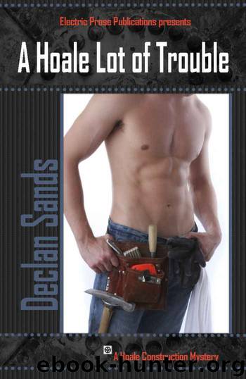 A Hoale Lot of Trouble (Hoale Construction Mysteries) by Declan Sands