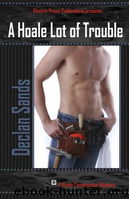 A Hoale Lot of Trouble by Declan Sands