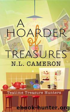 A Hoarder of Treasures by N L Cameron