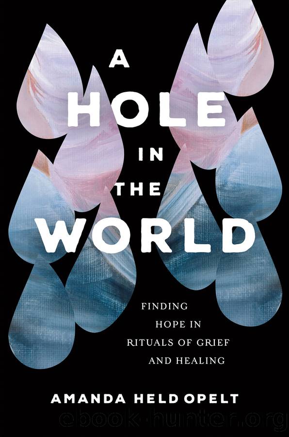A Hole in the World by Amanda Held Opelt