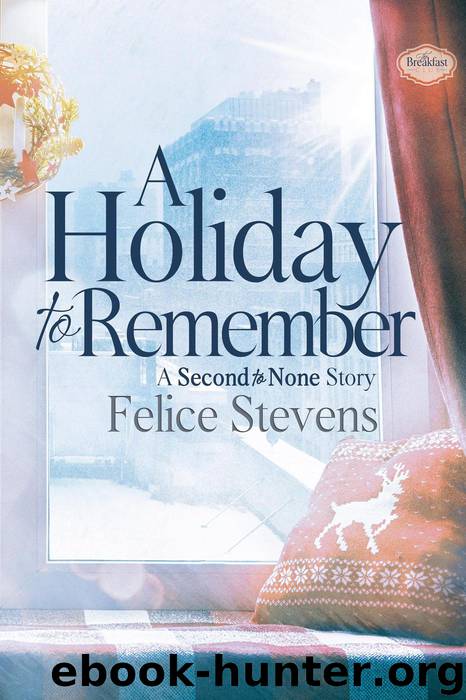 A Holiday to Remember by Felice Stevens