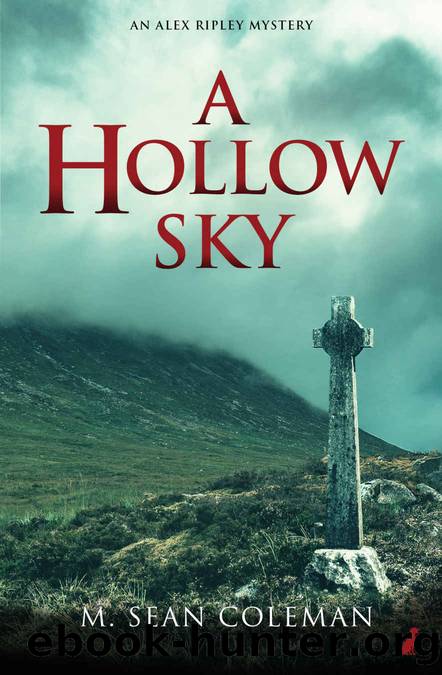A Hollow Sky by M. Sean Coleman