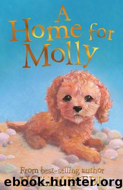 A Home for Molly by Holly Webb