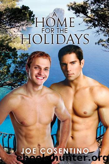 A Home for the Holidays by Joe Cosentino