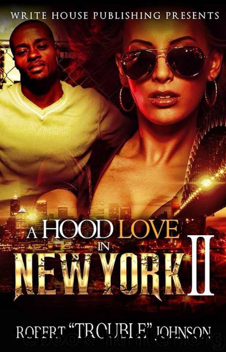 A Hood Love in New York 2 by Robert "trouble" Johnson