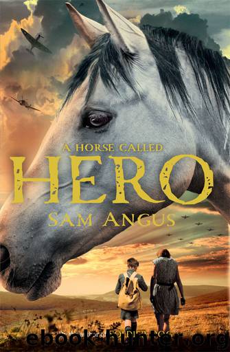 A Horse Called Hero by Sam Angus