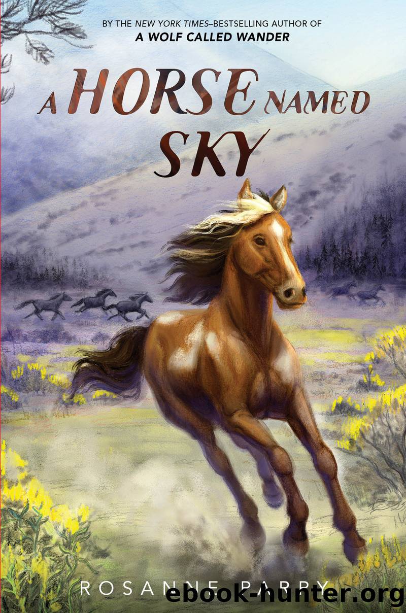 A Horse Named Sky by Rosanne Parry