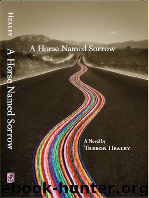 A Horse Named Sorrow by Trebor Healey