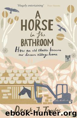 A Horse in the Bathroom by Derek J. Taylor