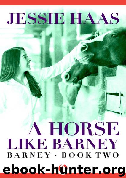 A Horse like Barney by Jessie Haas