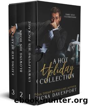 A Hot Holiday Collection by Fiona Davenport