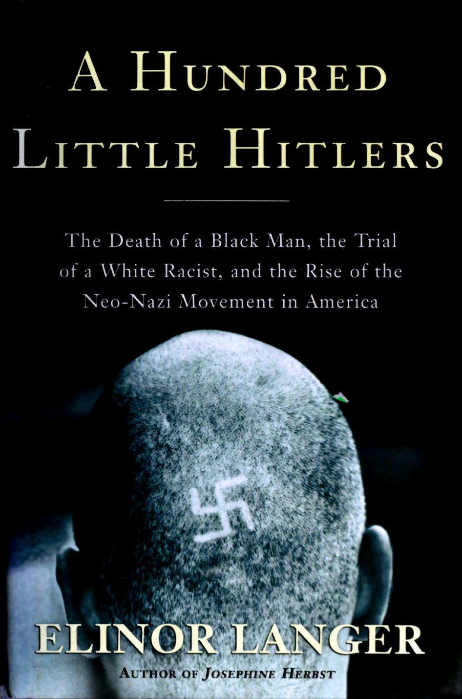 A Hundred Little Hitlers: The Death Of A Black Man, The Trial Of A White Racist, And The Rise Of The Neo-Nazi Movement In America by Elinor Langer