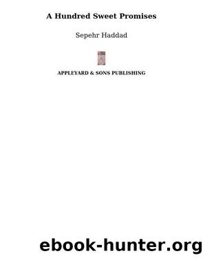 A Hundred Sweet Promises by Sepehr Haddad