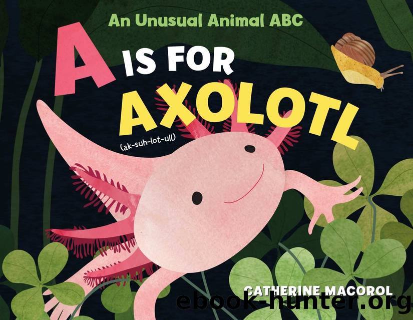 A Is for Axolotl: An Unusual Animal ABC by Catherine Macorol