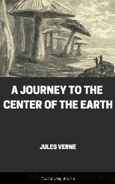 A Journey To The Center Of The Earth by Jules Verne