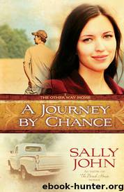 A Journey by Chance by Sally John