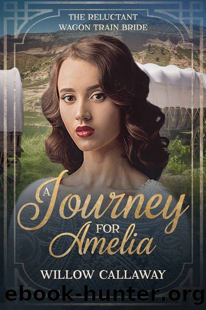 A Journey for Amelia by Callaway Willow