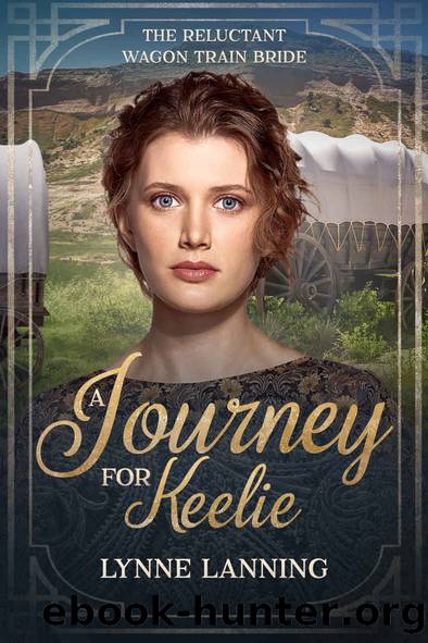 A Journey for Keelie by Lanning Lynne