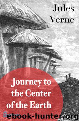 A Journey into the Center of the Earth by Jules Verne