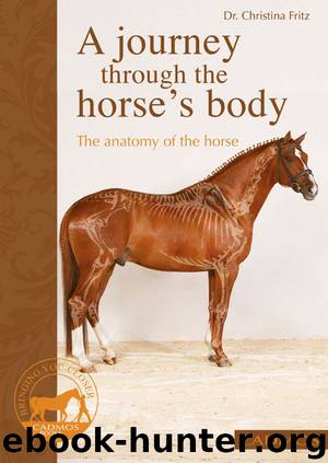 A Journey through the Horse’s Body by Dr. Christina Fritz