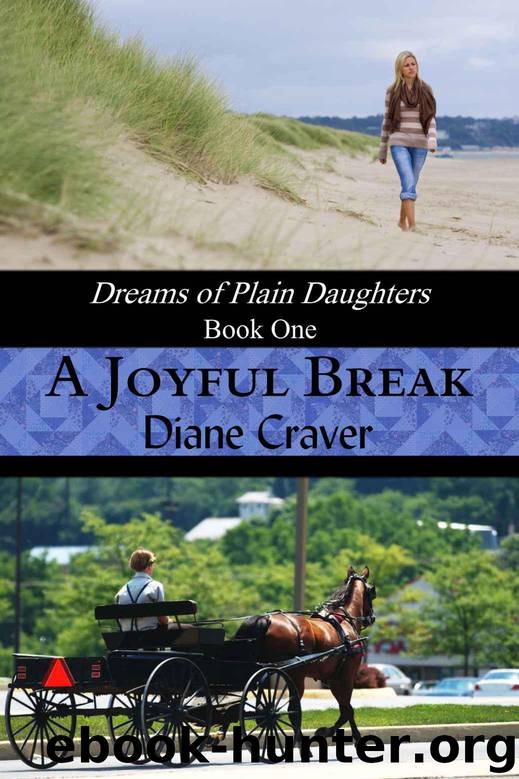 A Joyful Break (Dreams of Plain Daughters) by Craver Diane