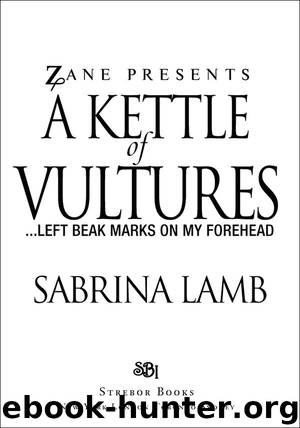 A Kettle of Vultures by Sabrina Lamb