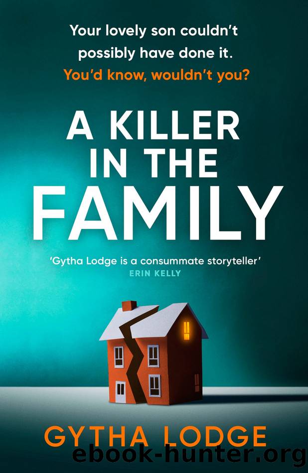 A Killer in the Family by Gytha Lodge