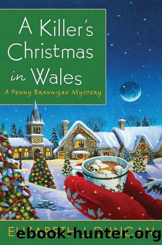 A Killerâs Christmas in Wales by Elizabeth J. Duncan