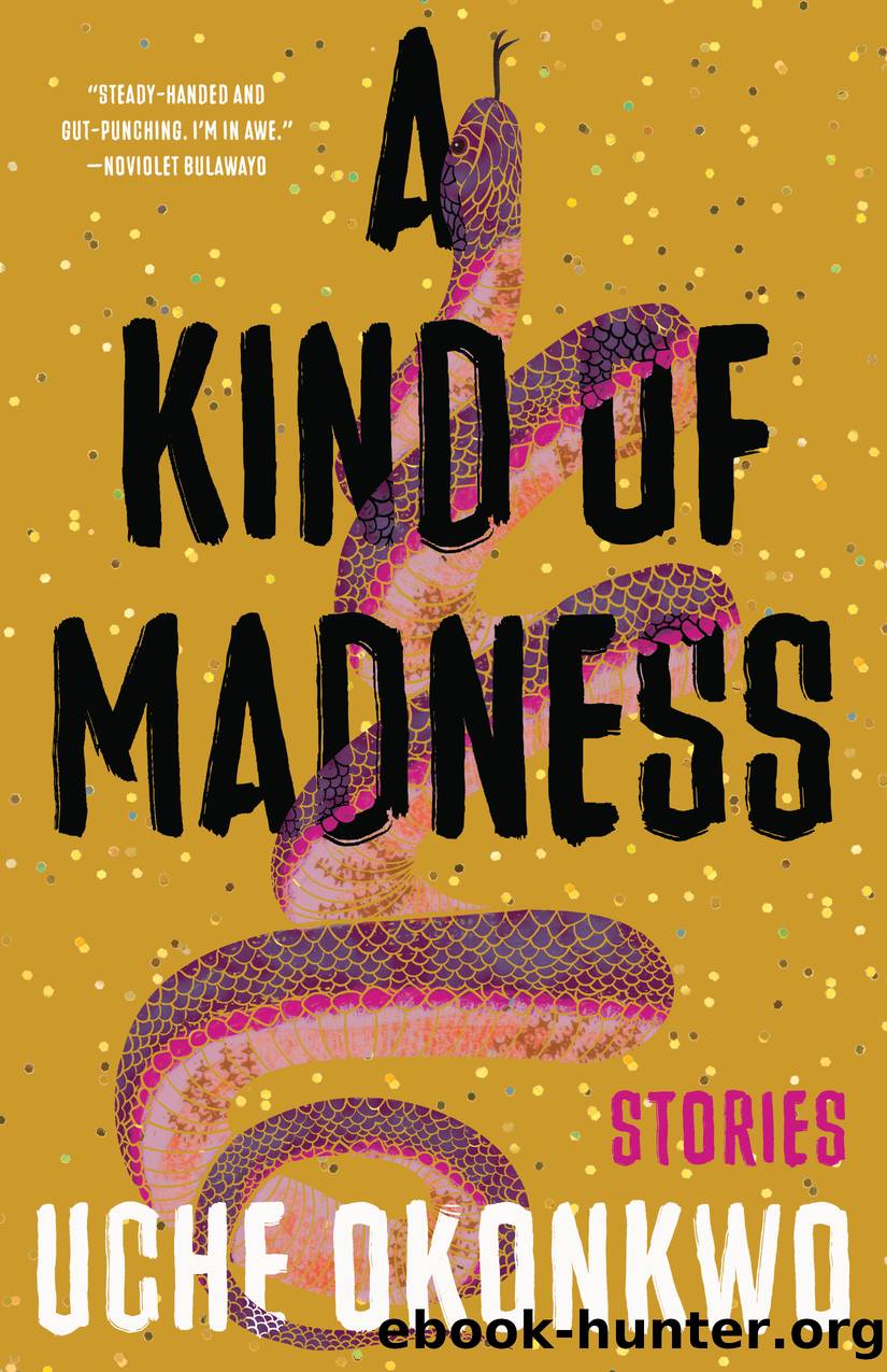 A Kind of Madness by Uche Okonkwo