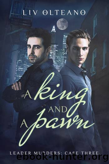 A King and a Pawn by Liv Olteano