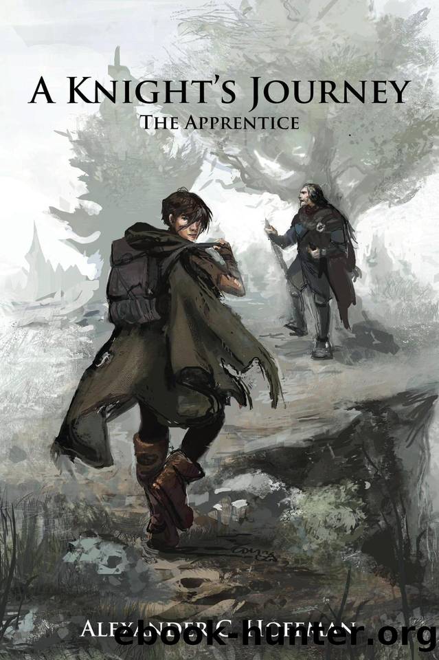 A Knight's Journey: The Apprentice by Alexander C. Hoffman